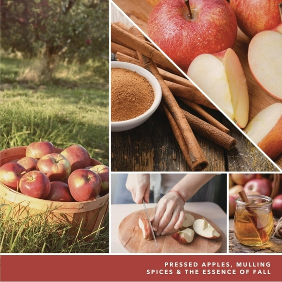 Yankee Candle Spiced Apple & Maple Large Jar Candle 22 Ounces - Picture 7 of 7